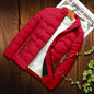 Exclusive European style Padding Jacket for Winter