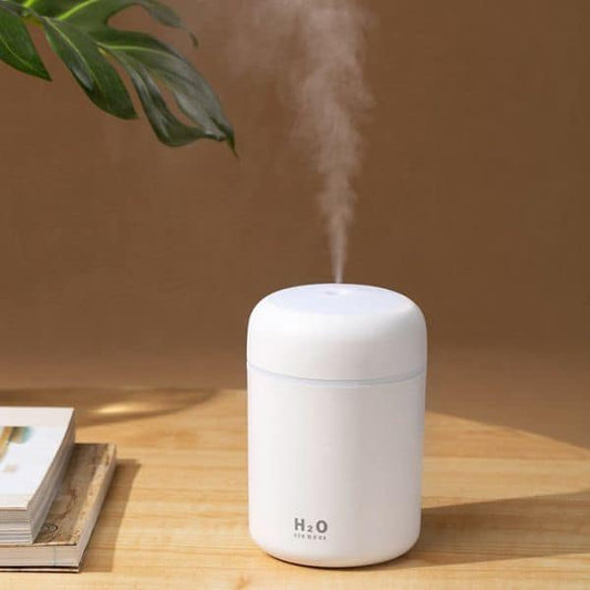 H2O Air Humidifier & Essential Oil Diffuser (DQ107 Model)